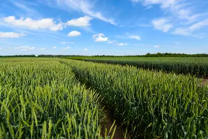  &copy;&nbsp;Фото Елены Синеок, Юга.ру