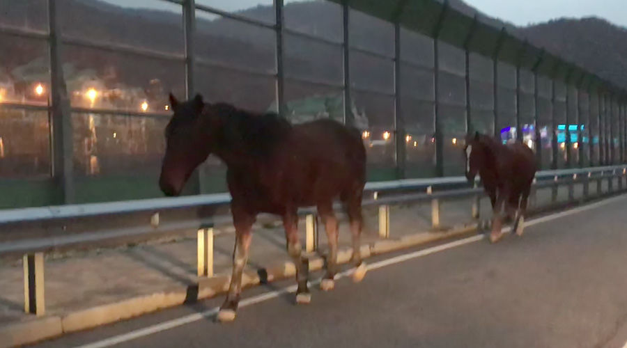  © Скриншот видео из канала youtube.com/channel/UCQIS2GgWQspJDWT2LnPec9Q