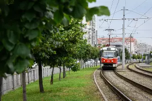  &copy;&nbsp;Фото Елены Синеок, Юга.ру