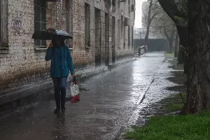  &copy;&nbsp;Фото Елены Синеок, Юга.ру