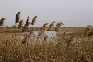  &copy;&nbsp;Фото Дениса Яковлева, Юга.ру