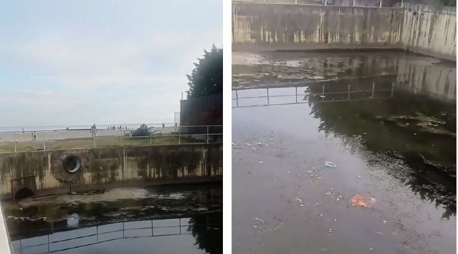  © Коллаж из скриншотов фото из телеграм-канала «Сириус»