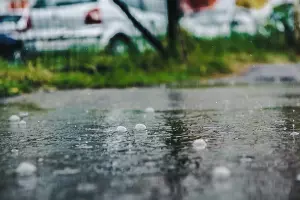  &copy;&nbsp;Фото Елены Синеок, Юга.ру