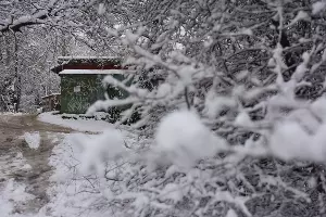 Снег в Краснодаре &copy;&nbsp;Фото Елены Синеок, Юга.ру