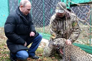 Центр разведения и реабилитации переднеазиатского леопарда &copy;&nbsp;Фото пресс-службы Кремля, kremlin.ru