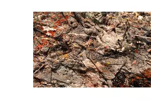  &copy;&nbsp;Фотография предоставлена фондом искусства &laquo;Голубицкое&raquo;