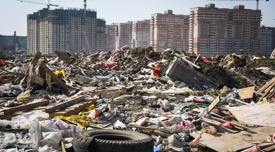  &copy;&nbsp;Фото Елены Синеок, Юга.ру