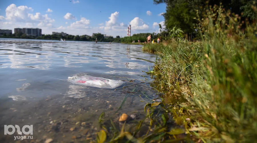  &copy;&nbsp;Фото Елены Синеок, Юга.ру