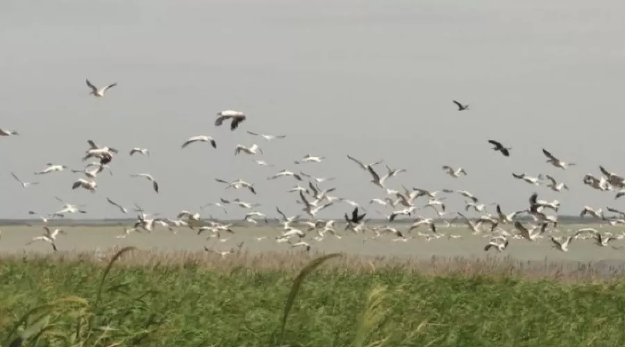  &copy;&nbsp;Скриншот фото с сайта Министерства природных ресурсов Краснодарского края