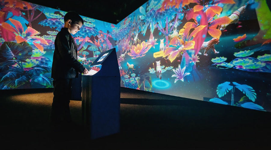 Мультимедийная «Галерея иллюзий» в «Сочи Парке» © Фото пресс-службы «Сочи Парка»