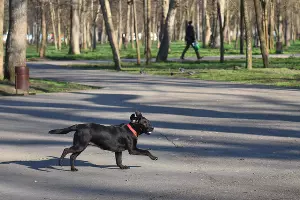  &copy;&nbsp;Фото Елены Синеок, Юга.ру