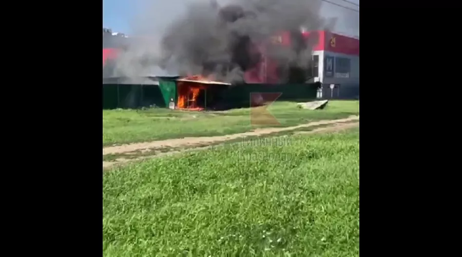  &copy;&nbsp;Скриншот видео из телеграм-канала &laquo;Типичный Краснодар&raquo;, t.me/krd_tipich_ru