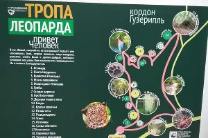 Маршрут &laquo;Тропа леопарда&raquo; &copy;&nbsp;Фото Юга.ру