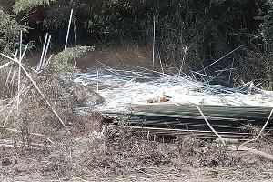  © Фото пресс-службы администрации Краснодара