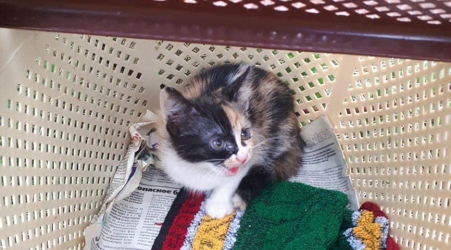  © Фото со страницы Алексея Одерова в инстаграме, instagram.com/alekseioderov