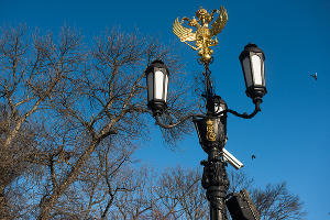  © Фото Елены Синеок, Юга.ру