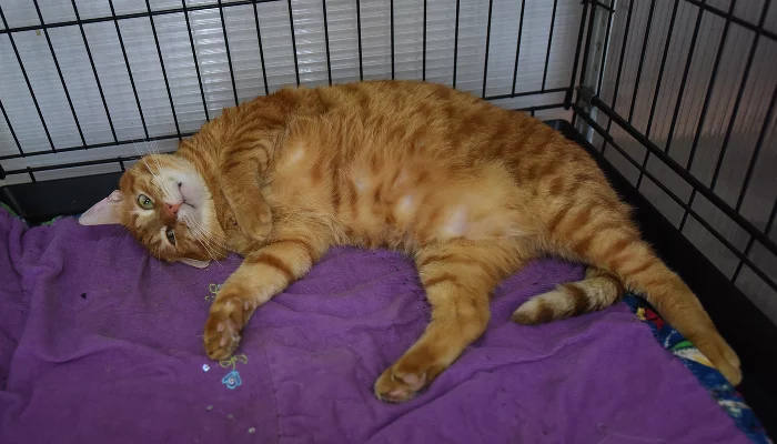  &copy;&nbsp;Елена Синеок, ЮГА.ру