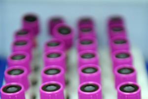  &copy;&nbsp;Елена Синеок. ЮГА.ру