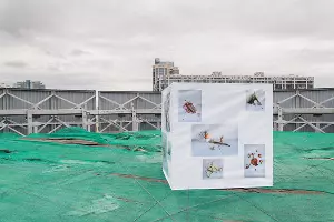 Выставка &laquo;Кубанский метр&raquo; &copy;&nbsp;Фото со страницы галереи &laquo;Вершина Культуры&raquo; во &laquo;ВКонтакте&raquo;, vk.com/the_high_of_culture