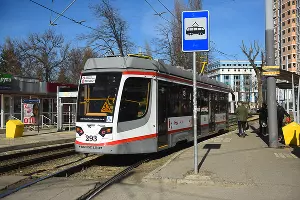  &copy;&nbsp;Фото Елены Синеок, Юга.ру