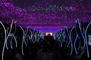  &copy;&nbsp;Фото Дмитрия Лобанова, предоставлено Юга.ру