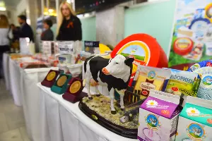 Открытая сессия по итогам 2019 года в Тбилисском районе &copy;&nbsp;Фото Елены Синеок, Юга.ру