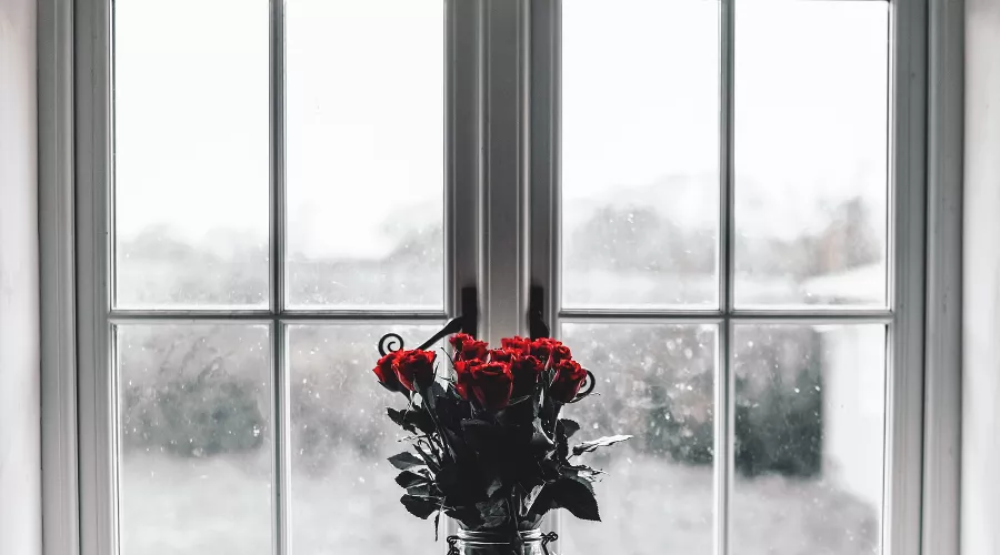 Окно &copy;&nbsp;Фото Marcus Cramer, unsplash.com