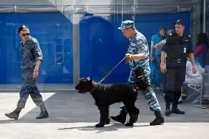  &copy;&nbsp;Влад Александров, ЮГА.ру