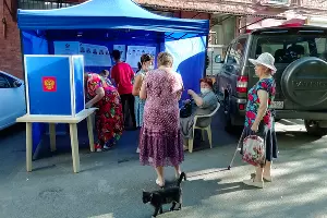 Выборы главы Краснодарского края и депутатов городской думы Краснодара &copy;&nbsp;Фото Романа Ибрагимова
