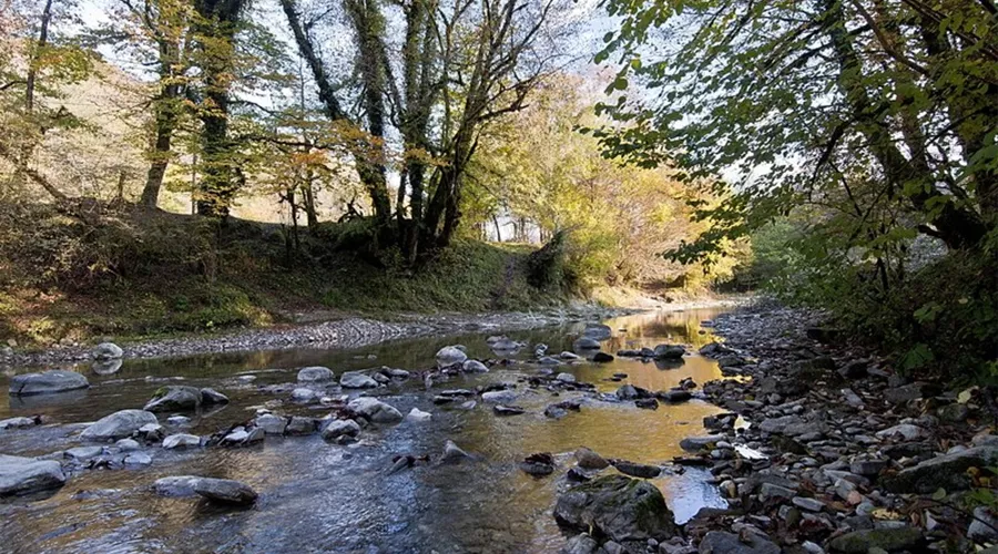  &copy;&nbsp;Фото с сайта privetsochi.ru