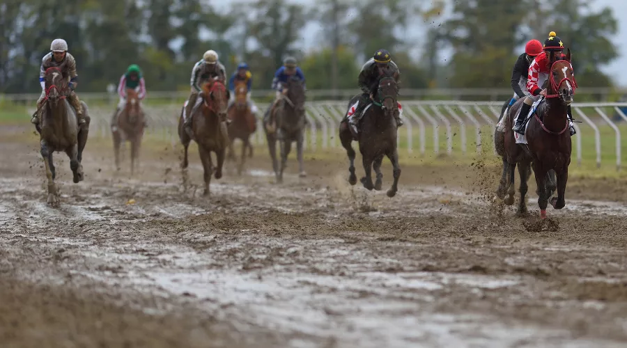  &copy;&nbsp;Фото пресс-службы главы Адыгеи
