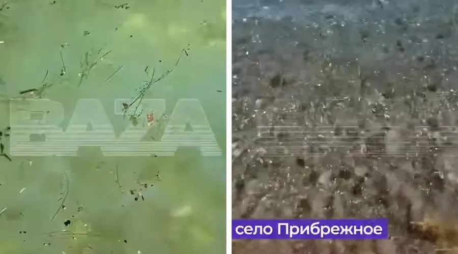  &copy;&nbsp;Скриншот видео из телеграм-канала Baza