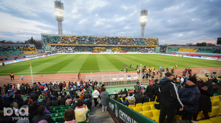  © Фото Елены Синеок, Юга.ру