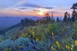  &copy;&nbsp;Фотография предоставлена пресс-службой музея имени Коваленко