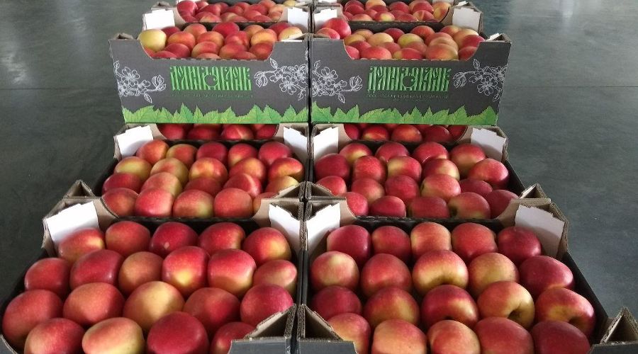  © Фото Юга.ру