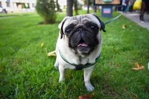  &copy;&nbsp;Елена Синеок, ЮГА.ру