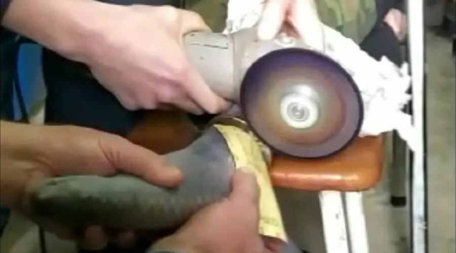  &copy;&nbsp;Скриншот видео МЧС по Адыгее