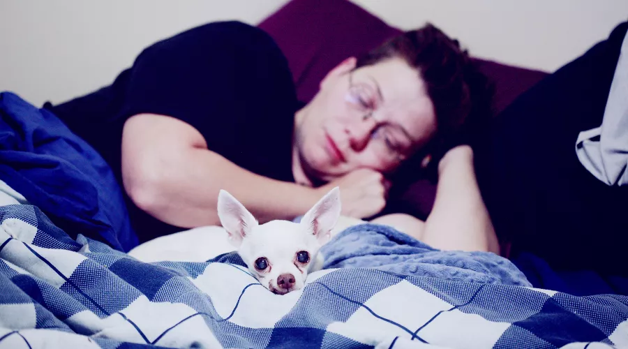  &copy;&nbsp;Фото Sharon McCutcheon с сайта Unsplash.com