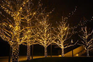 Новогодний парк &laquo;Краснодар&raquo; &copy;&nbsp;Фото Дениса Яковлева, Юга.ру