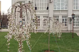  &copy;&nbsp;Фото пресс-службы МГТУ