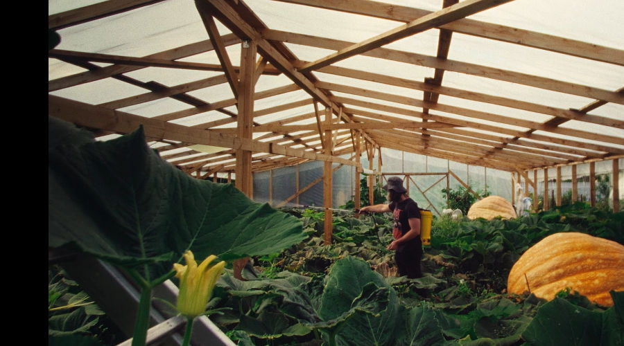 Кадр из фильма «Король тыкв»  © Скриншот с сайта beatfilmfestival.ru