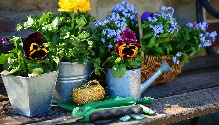  &copy;&nbsp;Фото pixabay.com