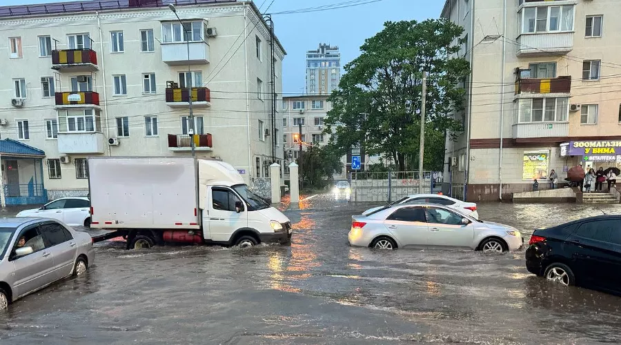  &copy;&nbsp;Фото Елены Ильиной, Юга.ру