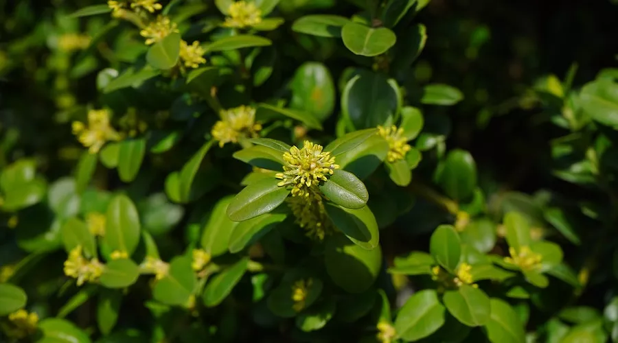  &copy;&nbsp;фото с сайта pixabay.com