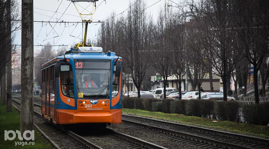  &copy;&nbsp;Фото Елены Синеок, Юга.ру