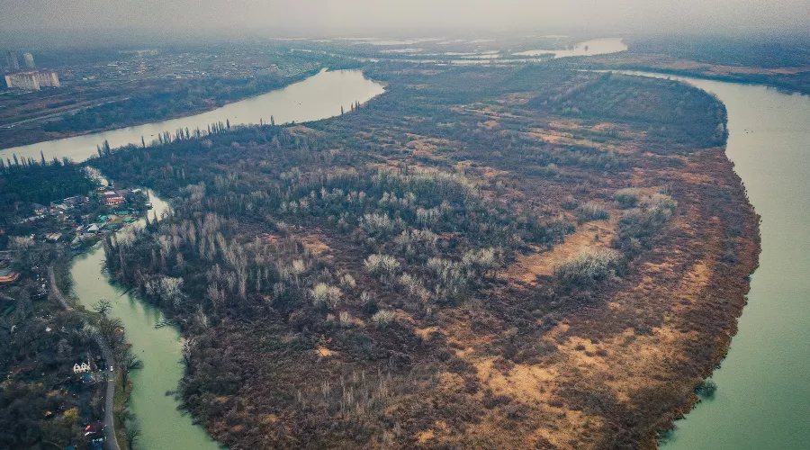  &copy;&nbsp;Фото Антона Быкова, Юга.ру