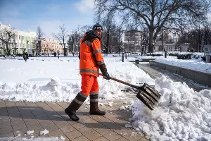  &copy;&nbsp;Фото Елены Синеок, Юга.ру