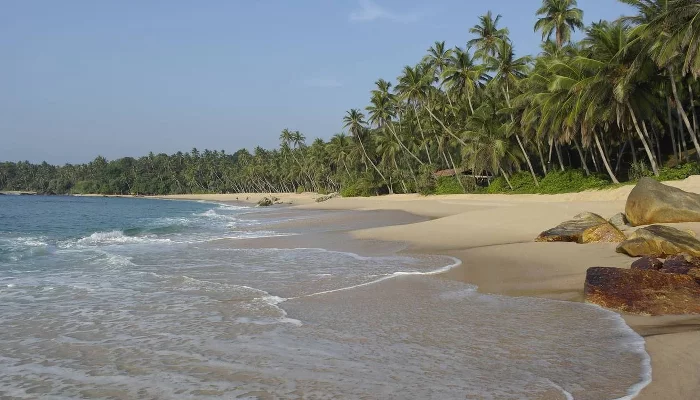 На Шри-Ланке &copy;&nbsp;Фото Иолины Грибковой, Юга.ру