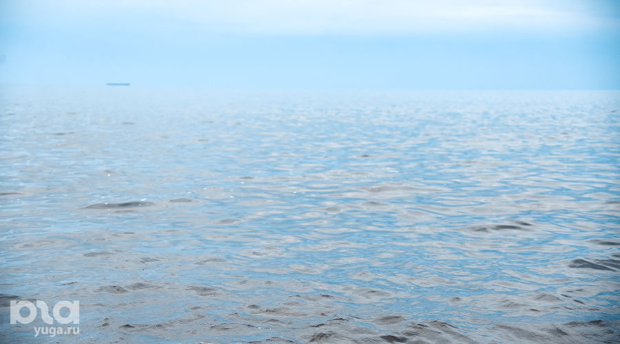  © Фото Елены Синеок, Юга.ру