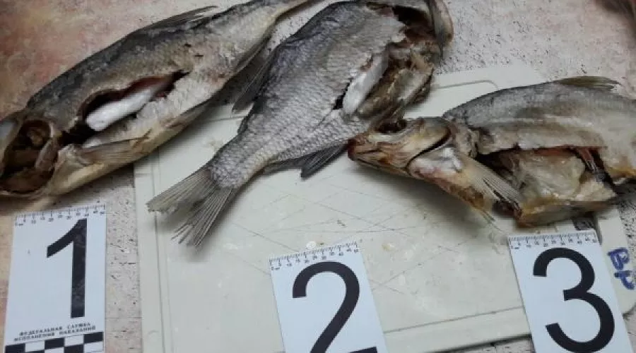  &copy;&nbsp;Фото пресс-службы УФСИН по Ставропольскому краю